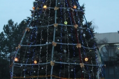 Изображение 4509-1111