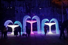 0-02-02-07242fb55fdff1b21df3d8496d2848688b44bed4e8ec8863e72f30ca0b8c50b9_5619510e