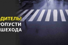 5d92f6cb4b6482f9f4d76452e63b7e7f